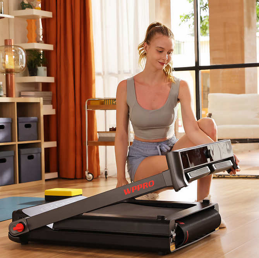 Kingsmith Walkingpad Pro Folding Treadmill